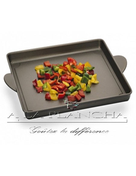 Plancha Julienne 40x30 P52-PI40 Plancha Mobile to Ask