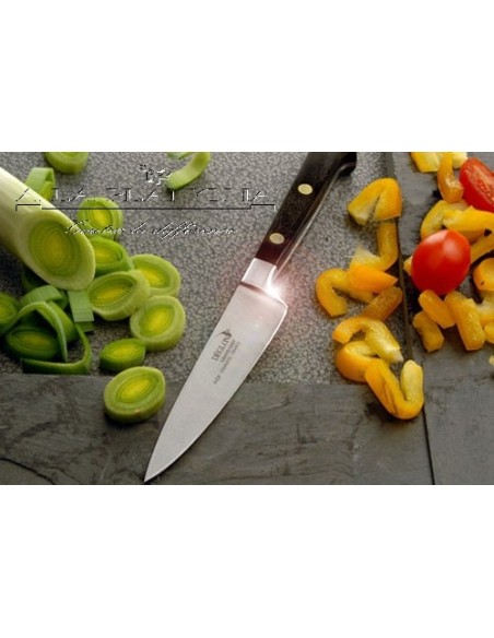 Cuisine Grand Chef 15 DEGLON D15-N6008015 DEGLON® Couteaux & Découpe