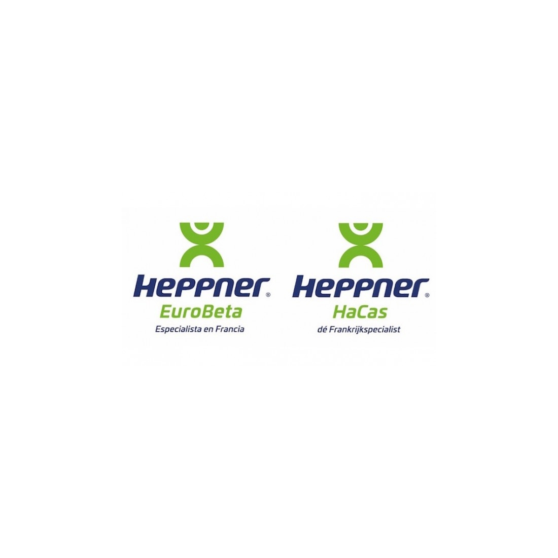 Import Export Domicile HEPPNER 990-99EX  Instruction Manual Guides