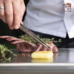 Teppanyaki M3000TS Línea móvil Techinox