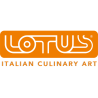 Friteuse F2/13T-78G LOTUS - Friteuse Wok Four Vapeur - LOTU...
